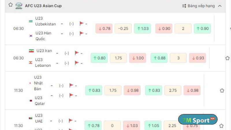 Hệ thống lịch đấu bóng đá phong phú