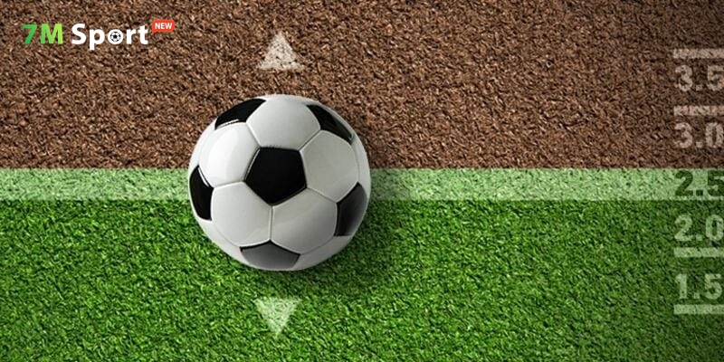 Soi kèo chuẩn xác với việc phân tích thông tin trận đấu kỹ lưỡng